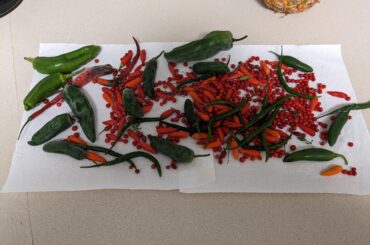 Gonna make me some hot sauce!