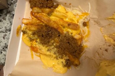 Worst one yet? Literally 5 fries