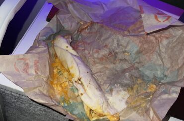Chipotle chicken Melt $3.19 after tax lol