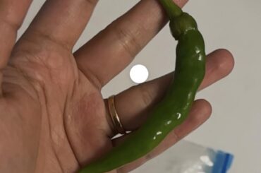 What pepper is this?