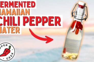 Fermented Hawaiian Chili Pepper Water Recipe - Pepper Geek