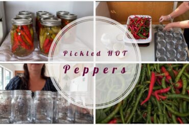 Canning my cayenne peppers | Home food Preservation
