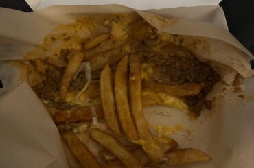 How my “grilled” cheese fries looked tonight