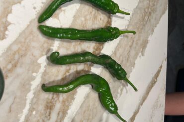 What pepper is this? Grown in Central west Florida.