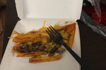 Grilled cheese nacho disappointing fries - Steak