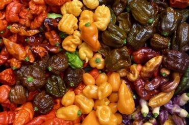 Just some Super Hot Peppers