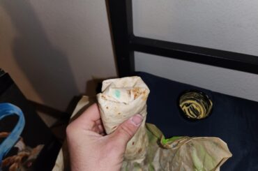 The fuck is this shit taco bell?