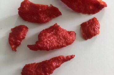 Carolina Reaper update: Now what?