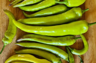 2nd Harvest of Hungarian hot wax's