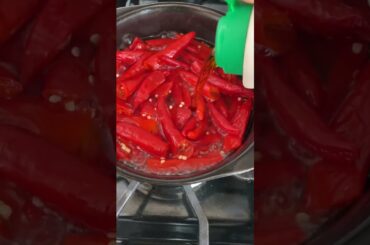 The EASIEST mild hot sauce recipe with peppers from our garden!