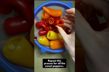 Pickled Sweet Peppers Recipe #shorts