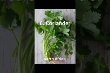 Explore 15 Exotic Veggies That Aren't Native to India: A Global Garden of Flavors!