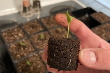 First Up-Pot of the year