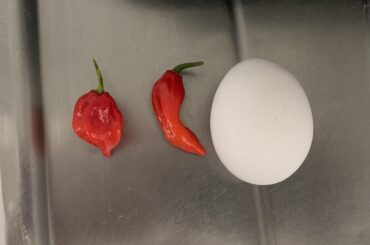 Anybody recognize this fiery sumbitch?