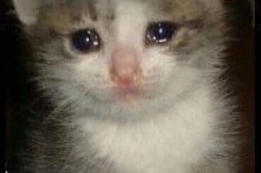 MFW I try to order a Veggie Fiesta Burrito 2 minutes ago