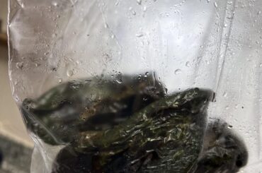 Espaghetti verde