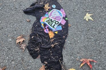 Fallen Hero