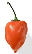 What would happen if Sweet Mini Peppers were cross bred with habaneros