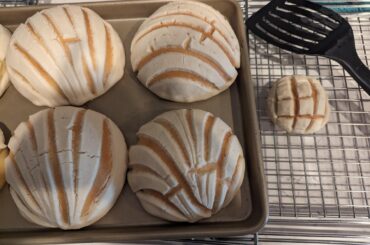 Conchas