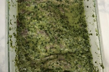 How does my carne asada marinade look (skirt steak)?