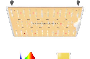 Which grow light to buy?