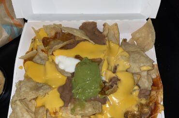 My TB took a swing and a miss at the nachos.