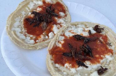 Chapulines anyone?