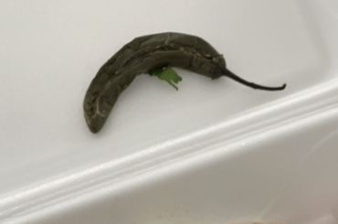 does anyone know what this pepper is?