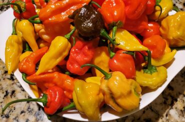 Pepper Farm Anyone?