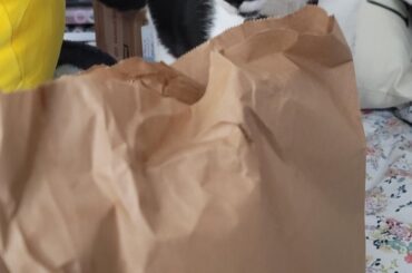 Taco Bell thief tried to steal my nachos