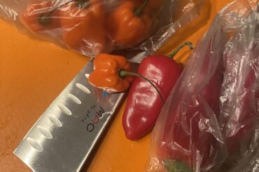 Habanero Fresno Salsa