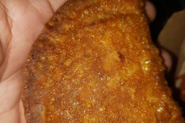 New Crispinada in Delaware