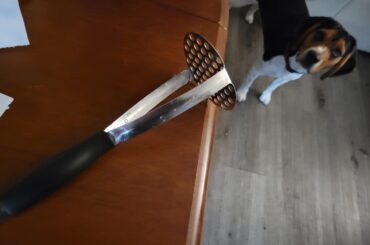 You guys use one of these to smash you de la Olla for refried? If not what do you use? Keep them whole?