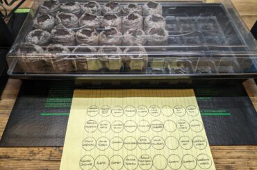 Seed starting day is finally here