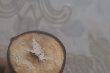 Has anyone seen this in their plantain before? Is it spoiled??