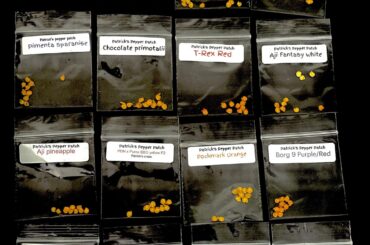 16 varieties! (Listed Below)