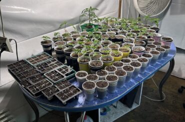 30+ varieties from sweet to scorching. #pepperlover #spicylife