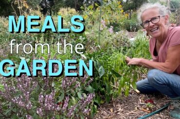 Garden Harvest for Delicious Freezer Meals | Chilli Bean Recipes
