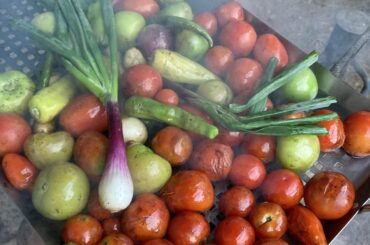 Some of last year’s smoked salsa ingredients