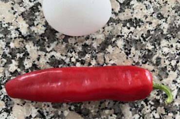 What is it? (Egg for scale)