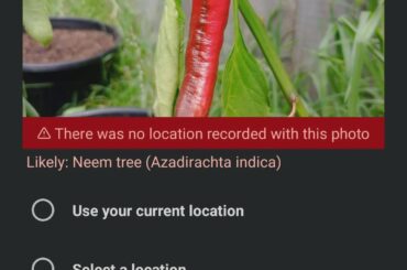 My government funded an AI powered plant scanning app