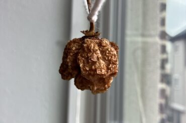 Dried Supers - These look OK?