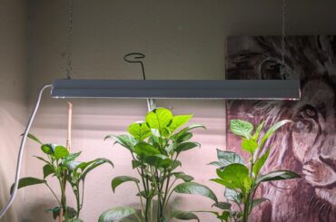 Do I need a better light?