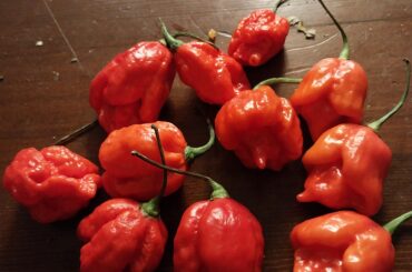 Can you help me identify these peppers?