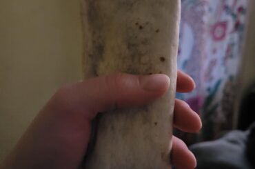 Shrinkflation burrito