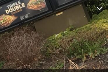 In my snap memories.. $5 for all that in 2017. Never forget what was taken from us