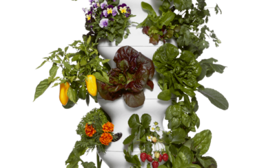 Has anyone used a farmstand for peppers?