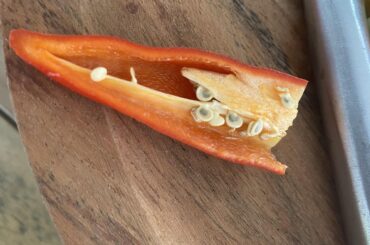 What is wrong with the seeds? Is it mold?