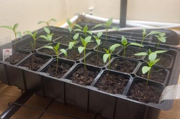 3 weeks old, how am I doing so far?