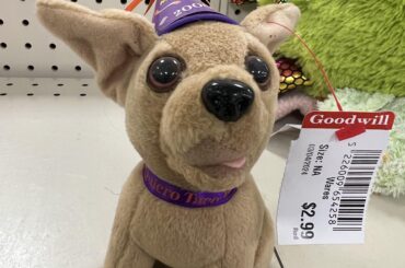 Passed up this highly valuable collector’s item today at Goodwill